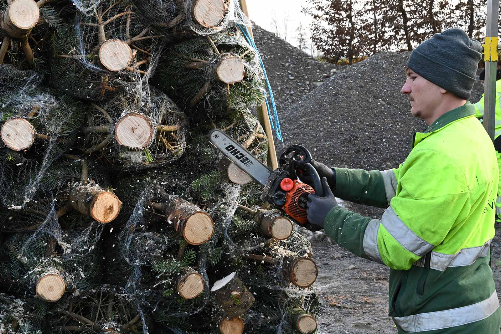 Agroservice-Weihnachtsbäume-01