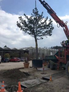 Agroservice-Gartenbau-02