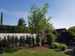 Agroservice-Gartenbau-11