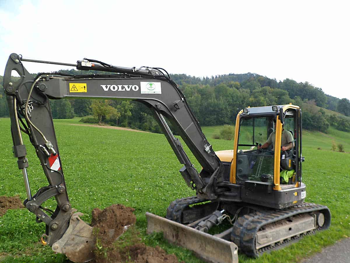 Naturschutzpflege - SAM_0930