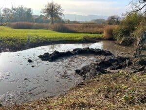 WhatsApp-Bild-2025-05-28-um-15.23.30_d52a2eab