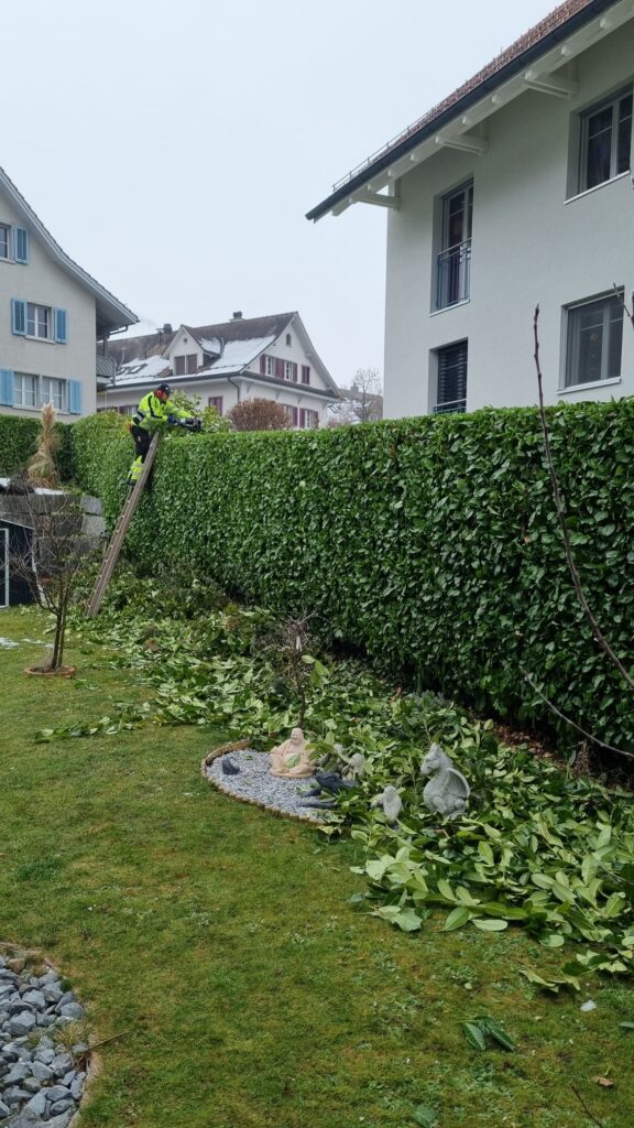 braem-gartenunterhalt-3