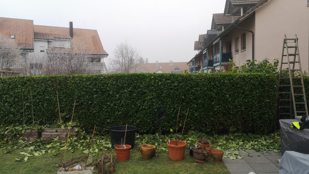 braem-gartenunterhalt-7 braem-gartenunterhalt-7
