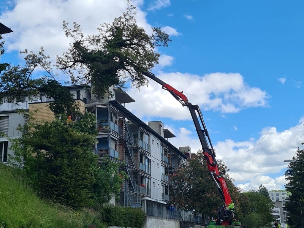 faellung faellung