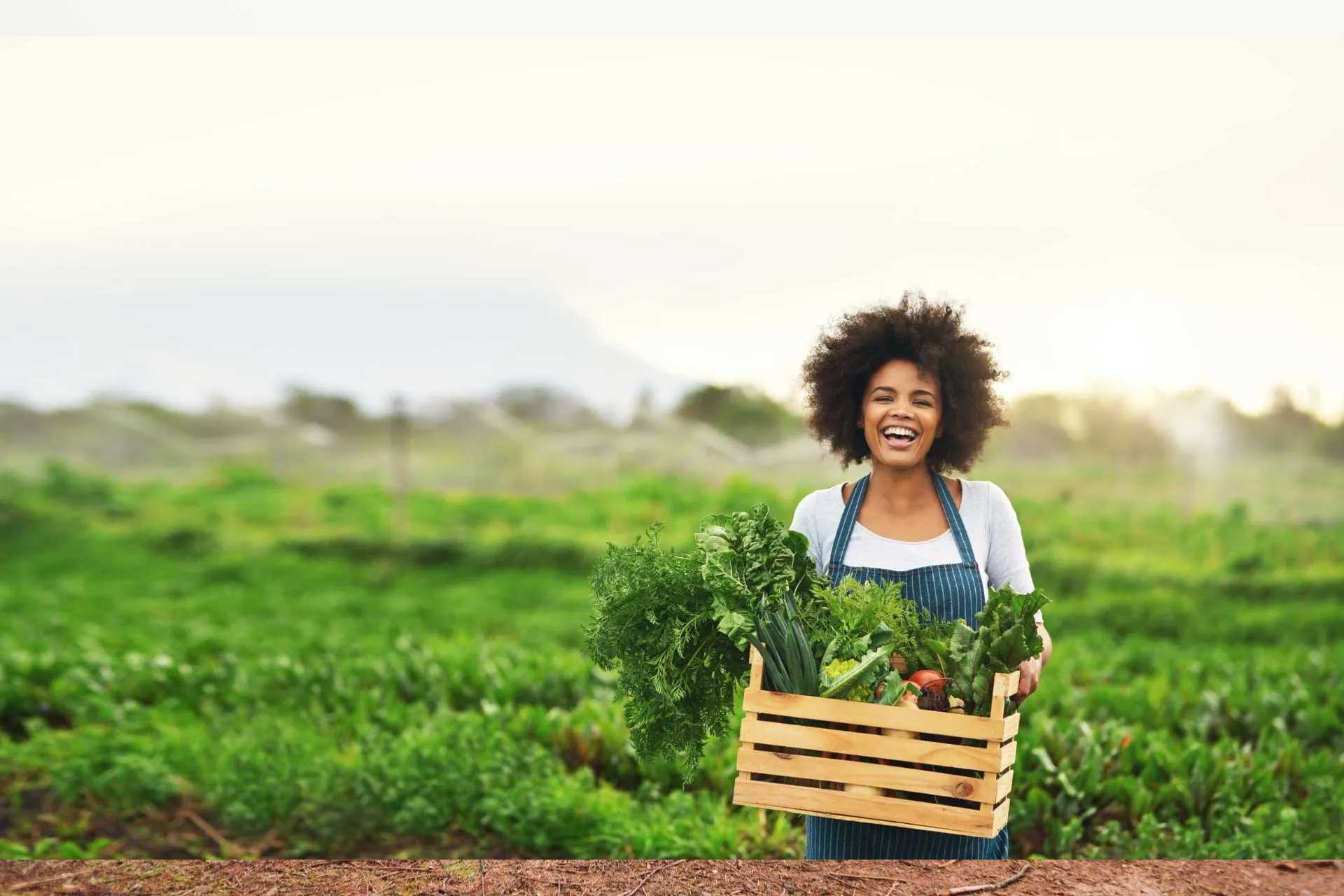 Agroservice-02 Agroservice-02